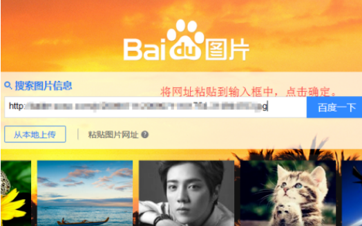 久久草草亚洲蜜桃臀