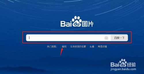 欧美人与动牲交a精品
